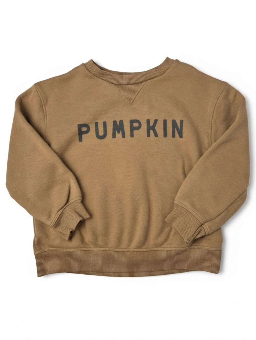 Little Co. Lauren Conrad Pumpkin Sweatshirt Brown Tan Fleece Top 4T EUC